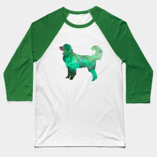 Hovawart in watercolor Baseball T-Shirt